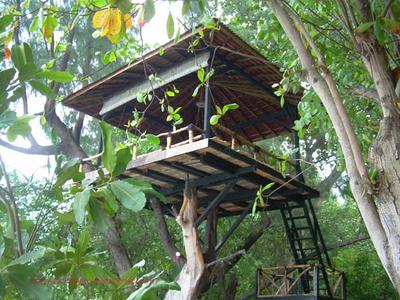 https://blog.jelaja.com/sejuta-pesona-pulau-seribu-resort/