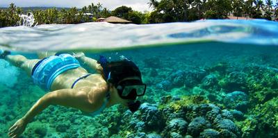 http://linikini.id/trivia/2927/6-spot-snorkeling-untuk-belajar-renang