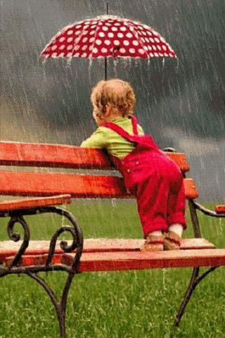 10 Gambar Lucu Untuk Musim Hujan Gambar Kitan 10 Gambar Lucu Untuk Musim Hujan Gambar Kitan
