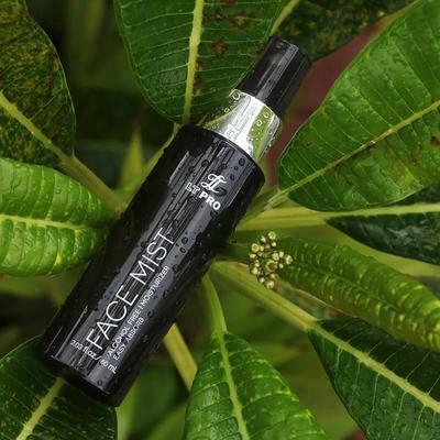 face lt mist pro dengan Harga Wajib Mist 8 Terjangkau Face Lokal Punya!