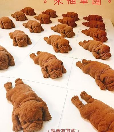 Forum Viral Es Krim Bentuk Anjing Tega Makannya