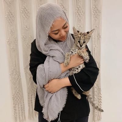 Mengenal Kucing Serval Kucing Eksotis Yang Dipelihara Oleh Rachel