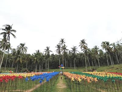 Sensasi Objek Wisata Taman Belangi Di Bireuen